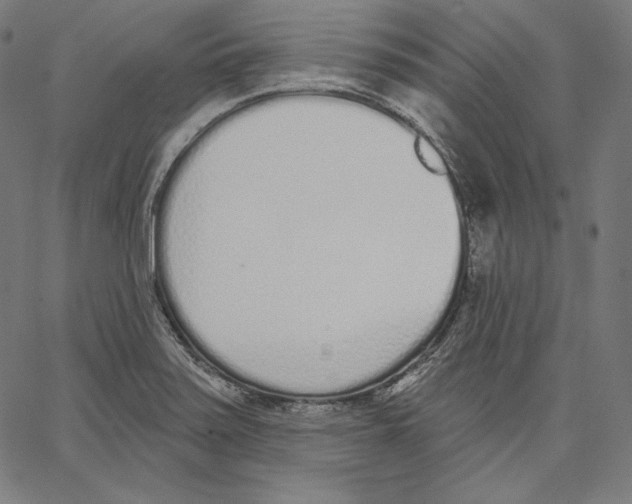 X0000067491371200604281506