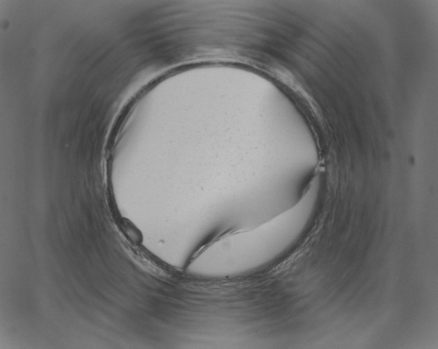 X0000067491372200604281506