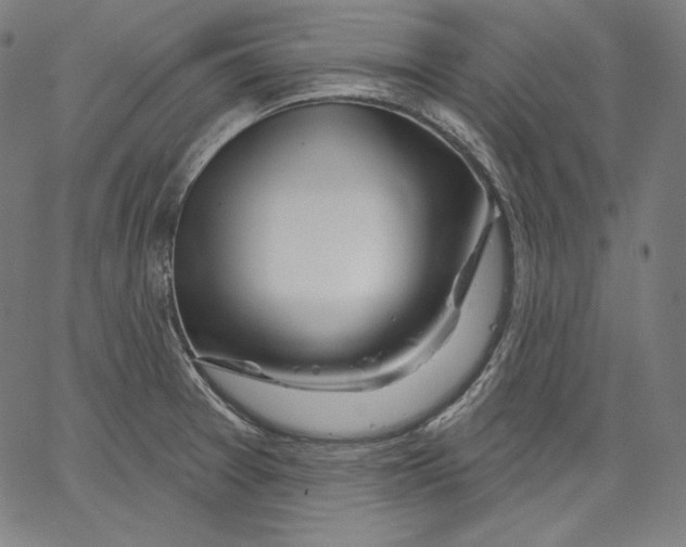 X0000067491377200604281506