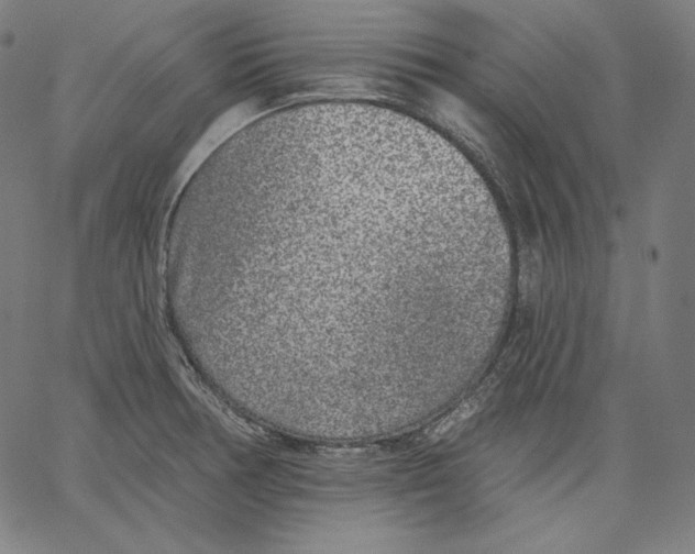 X0000067491378200604281506
