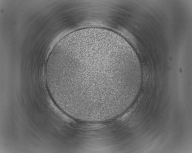X0000067491382200604281506