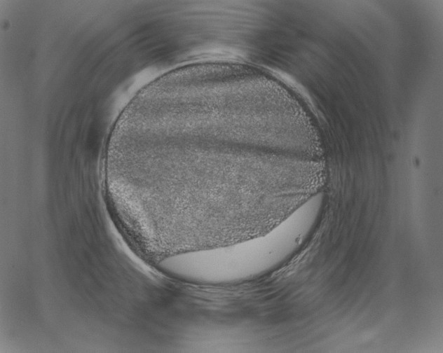 X0000067491383200604281506