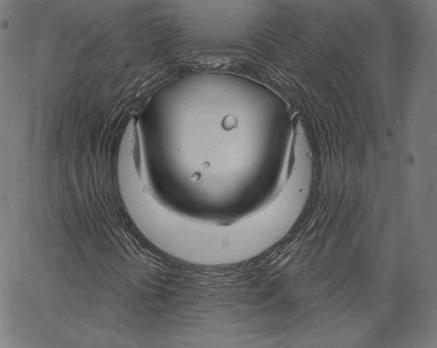 X0000067491394200604281505