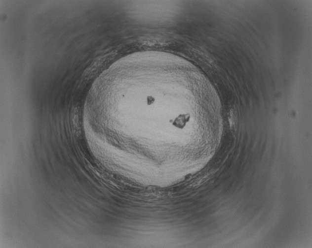 X0000067491396200604281505