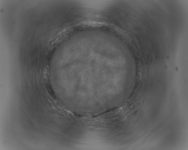 X0000067491397200604281505