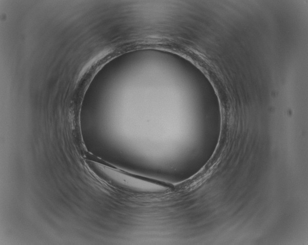 X0000067491402200604281505