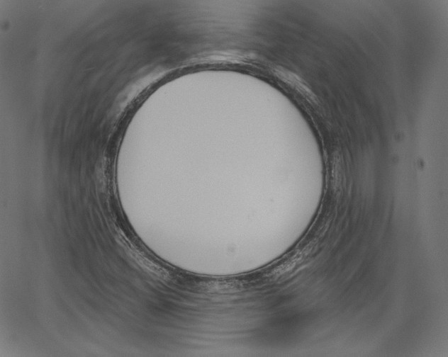 X0000067491404200604281505