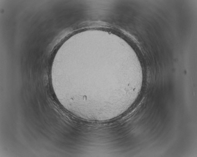 X0000067491407200604281505