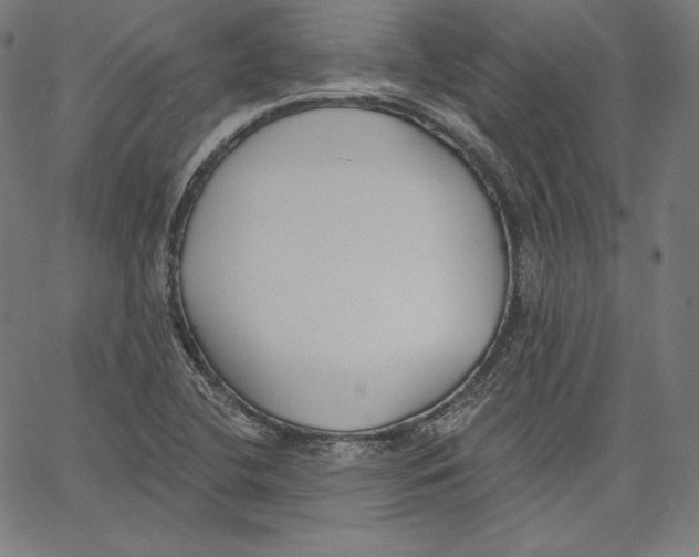 X0000067491412200604281505