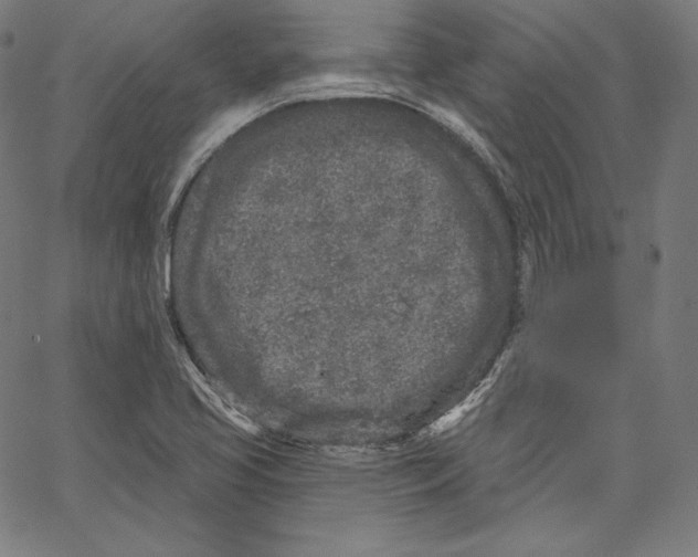 X0000067491413200604281505