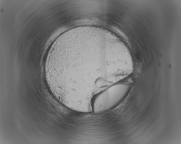 X0000067491419200604281505