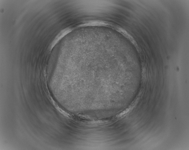 X0000067491425200604281505