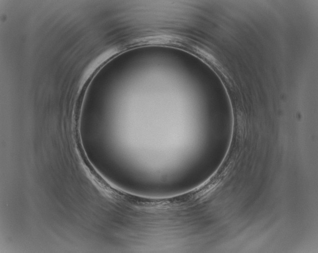 X0000067491426200604281505
