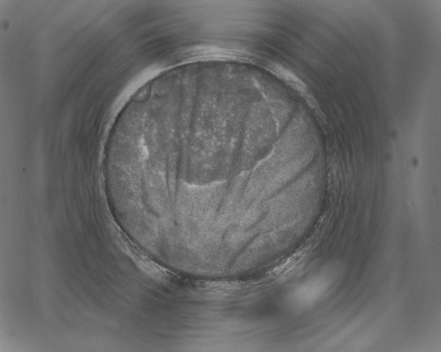 X0000067491427200604281505