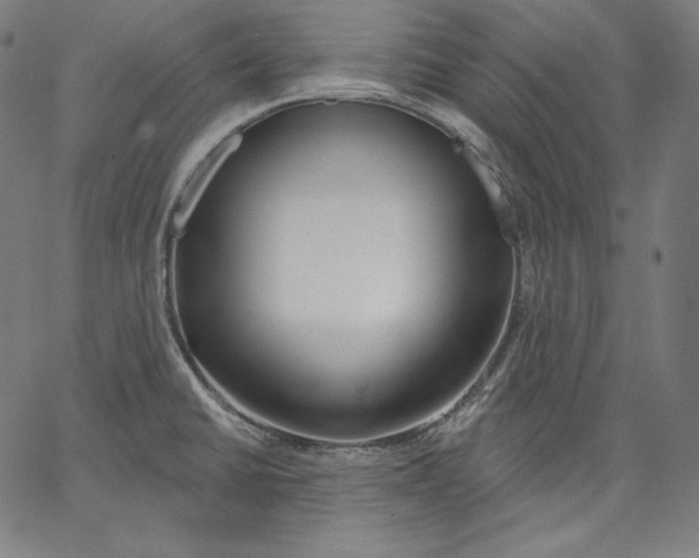 X0000067491430200604281505