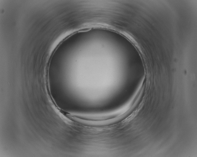 X0000067491438200604281506