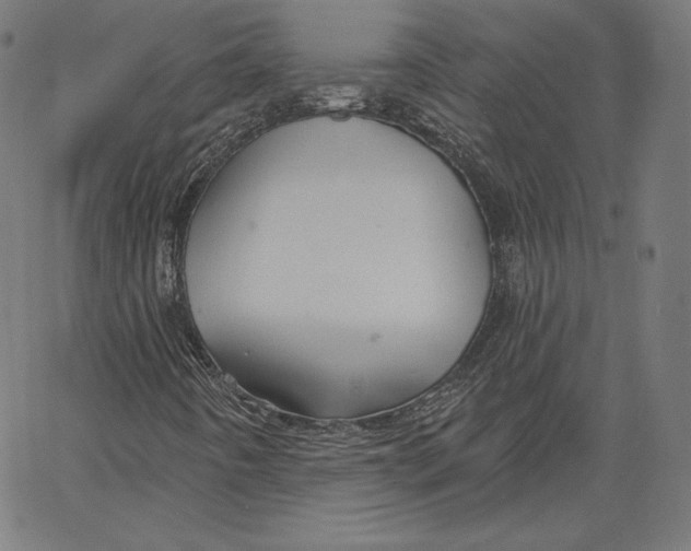 X0000067491442200604281505