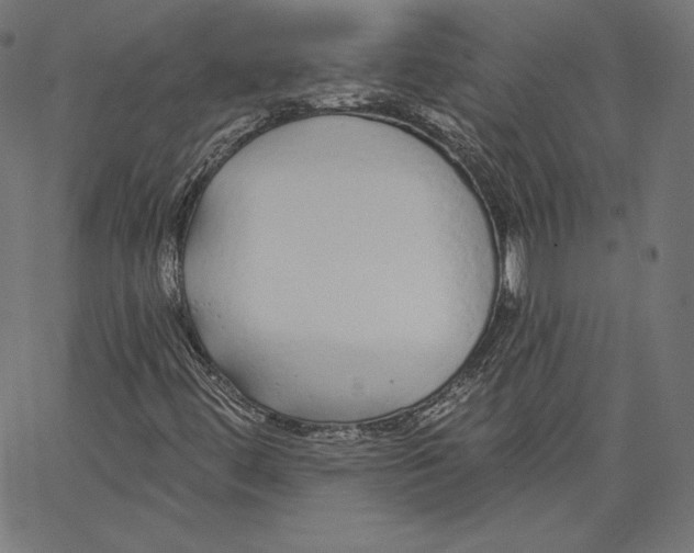 X0000067491444200604281505