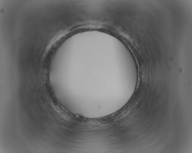 X0000067491448200604281505