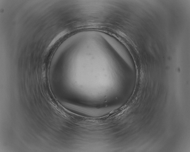 X0000067491450200604281505
