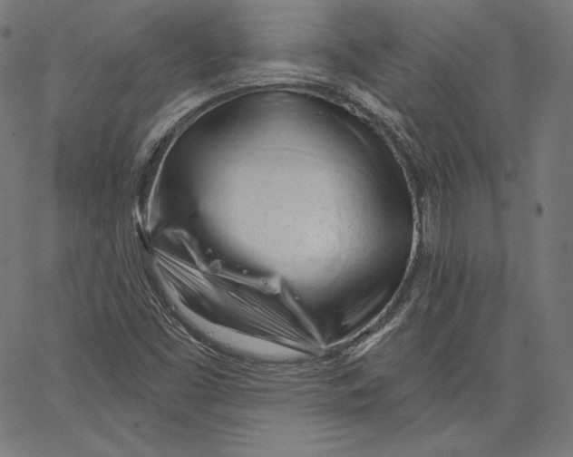 X0000067491453200604281505