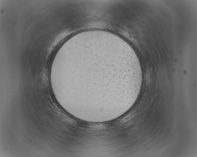 X0000067491454200604281505