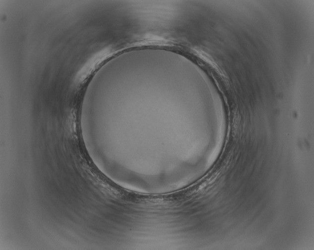 X0000067491455200604281505