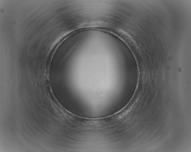 X0000067491457200604281505