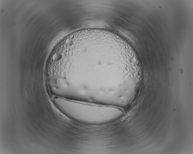 X0000067491471200604281504