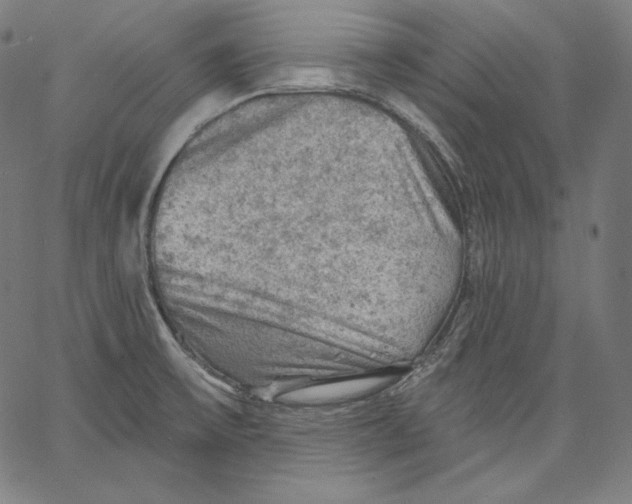 X0000067491475200604281504