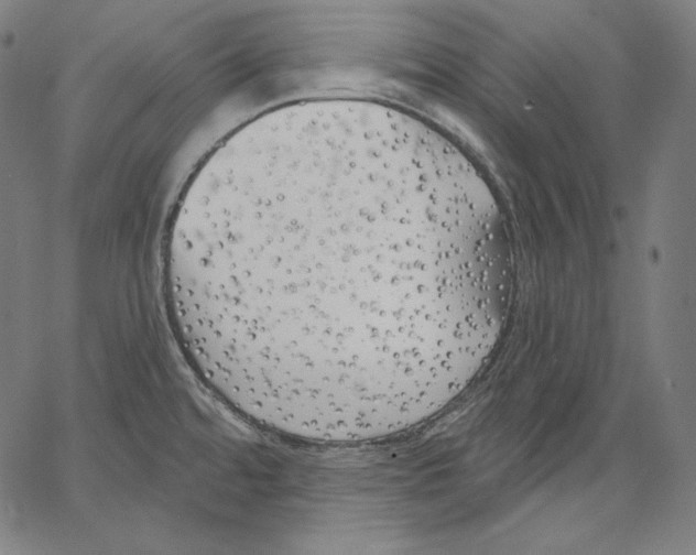 X0000067491480200604281504