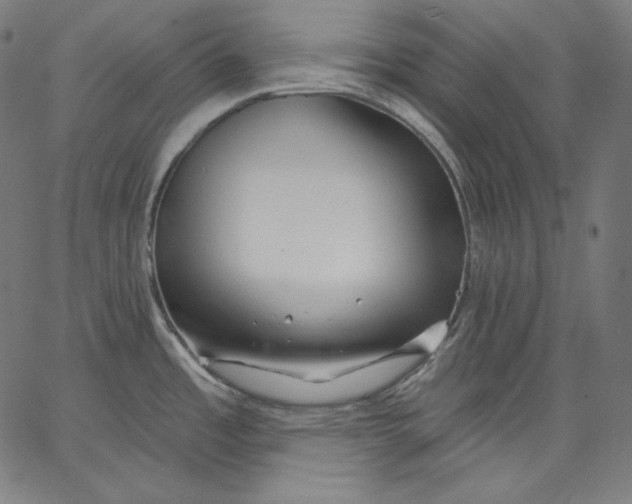 X0000067491485200604281504
