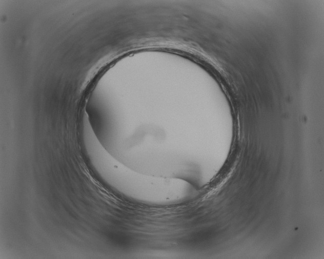 X0000067491501200604281503