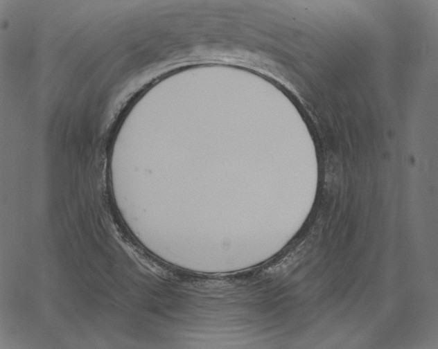 X0000067491507200604281504