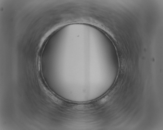 X0000067491510200604281504