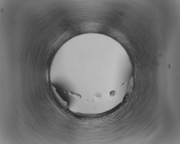 X0000067490021200605051749