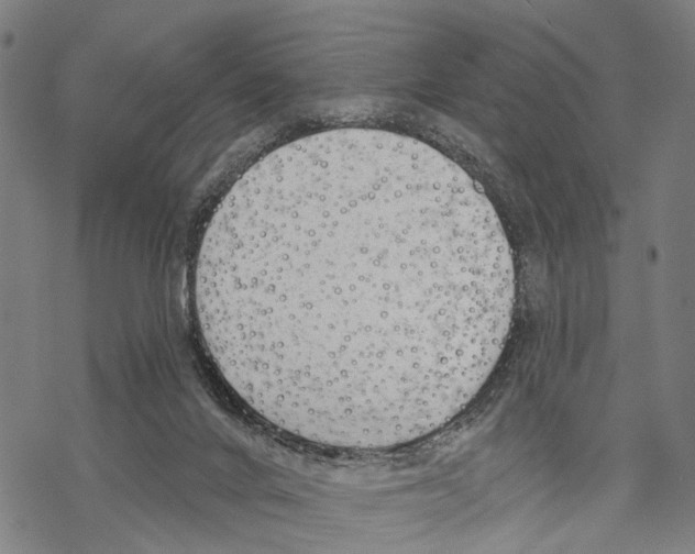 X0000067490024200605051749