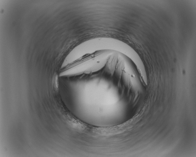 X0000067490041200605051749