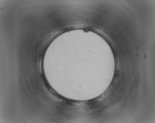 X0000067490070200605051748