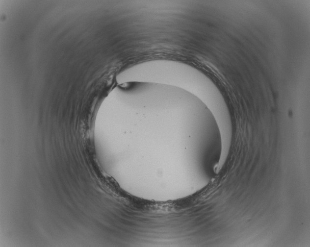 X0000067490077200605051748