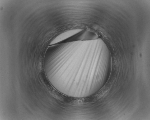 X0000067490080200605051748