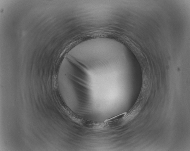 X0000067490096200605051749