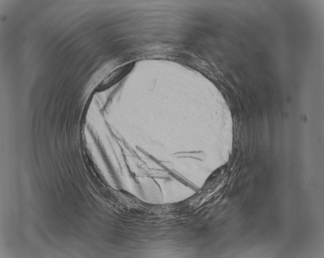 X0000067490099200605051748