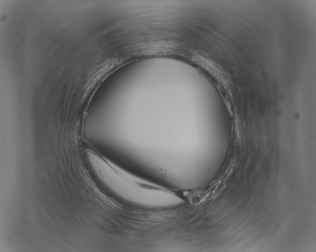 X0000067490105200605051748