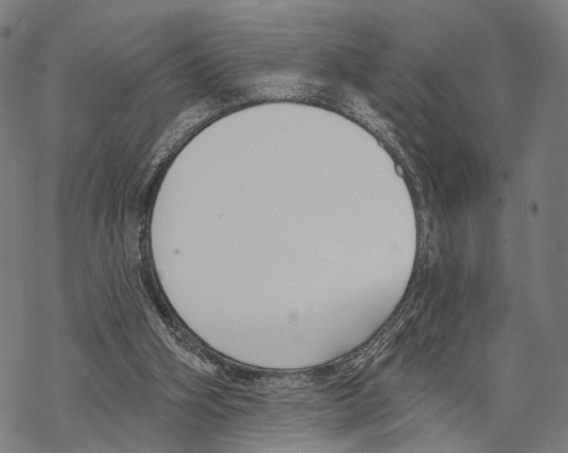X0000067490106200605051748