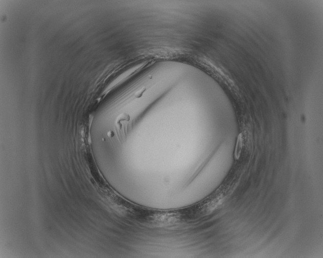 X0000067490117200605051748