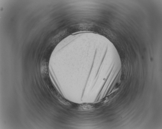 X0000067490137200605051747