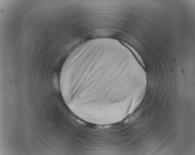 X0000067490143200605051747