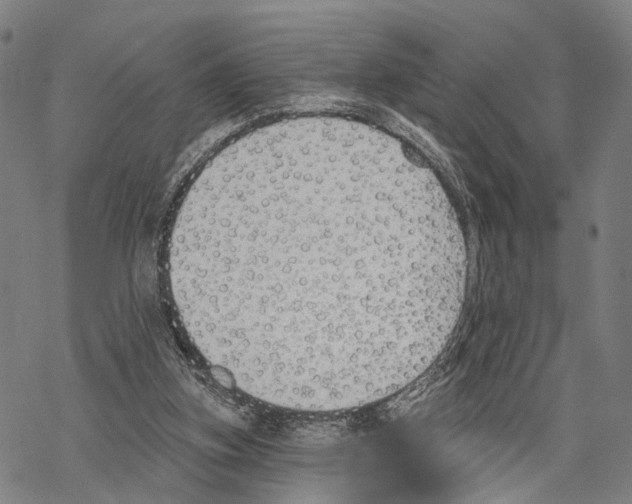 X0000067490155200605051746