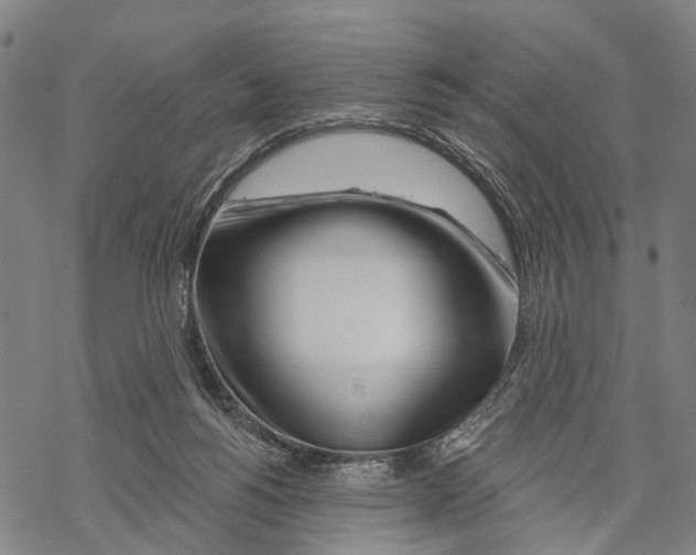 X0000067490168200605051747